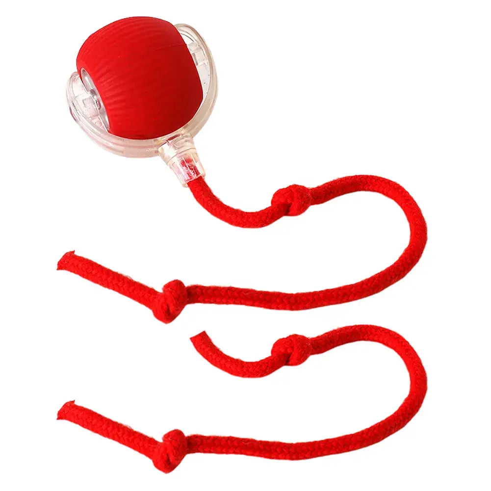 VKTECH Cat Interactive Ball Toy SelfRotating Rechargeable Indoor Cat Toy by Furtastic Pet Essentials