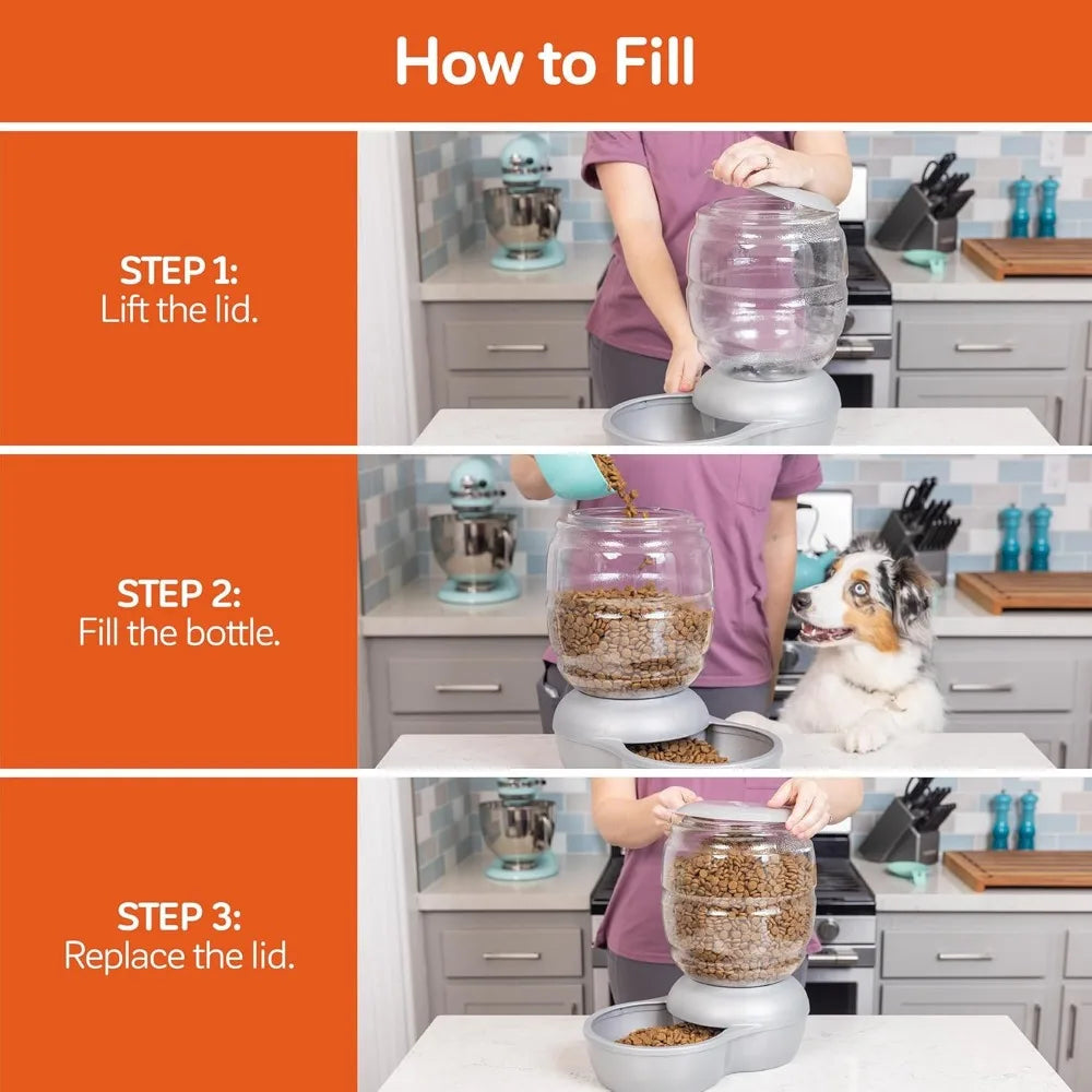 Replendish Automatic Pet Feeder for Cats and Dogs Today