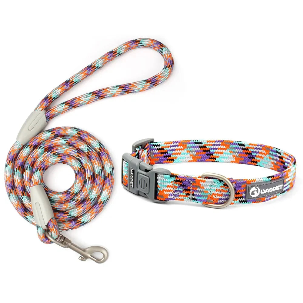 Guangdong Leashes And Collar Set For Dogs Outdoor Use