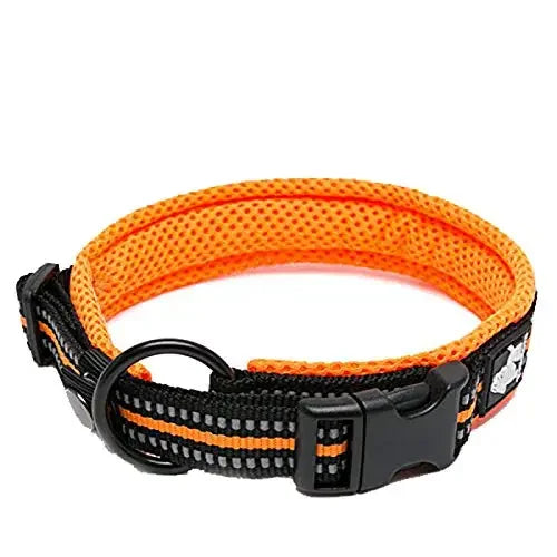 TRUELOVECN Truelove Nylon Adjustable Padded Reflective Dog Collar TLC5011