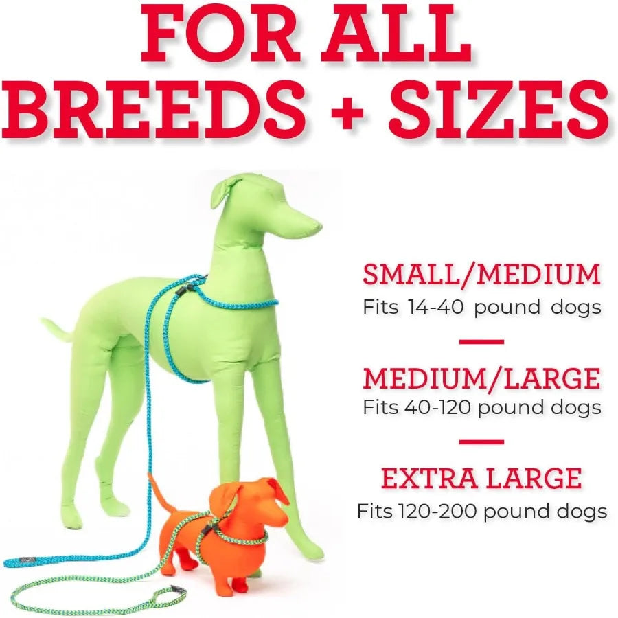 High-concerned Dog Harness And Leash Set Anti Pull Cushioned Rope