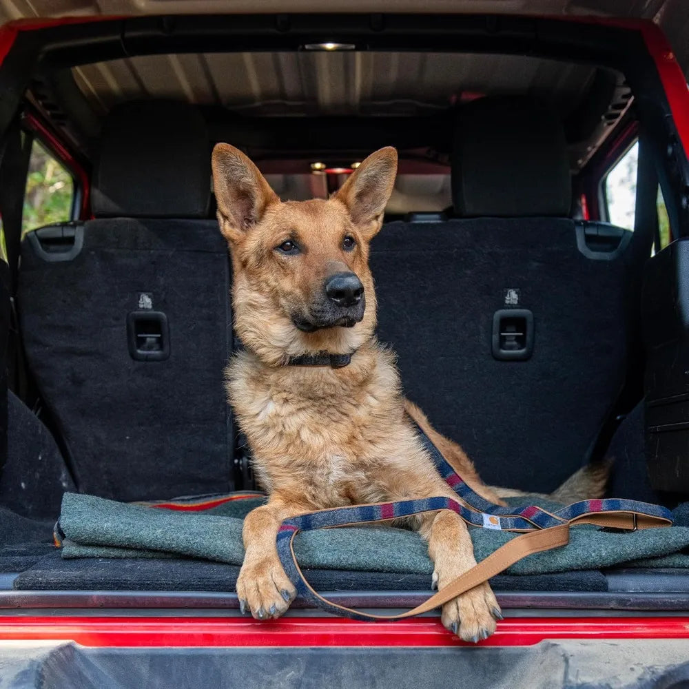 High-concerned Nylon Dog Leash With Reflective Stitching For Visibility