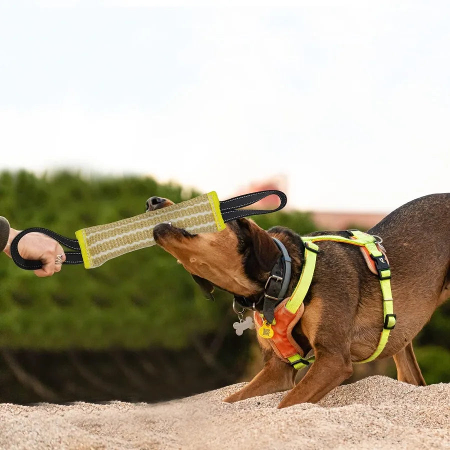 Dog Bite Training Set With Sleeve Pillow Tug Toy Equipment