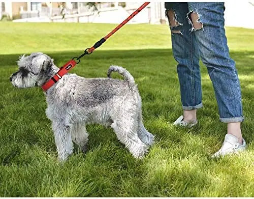 YTYIN Reflective Martingale Dog Collar for Training and Safety