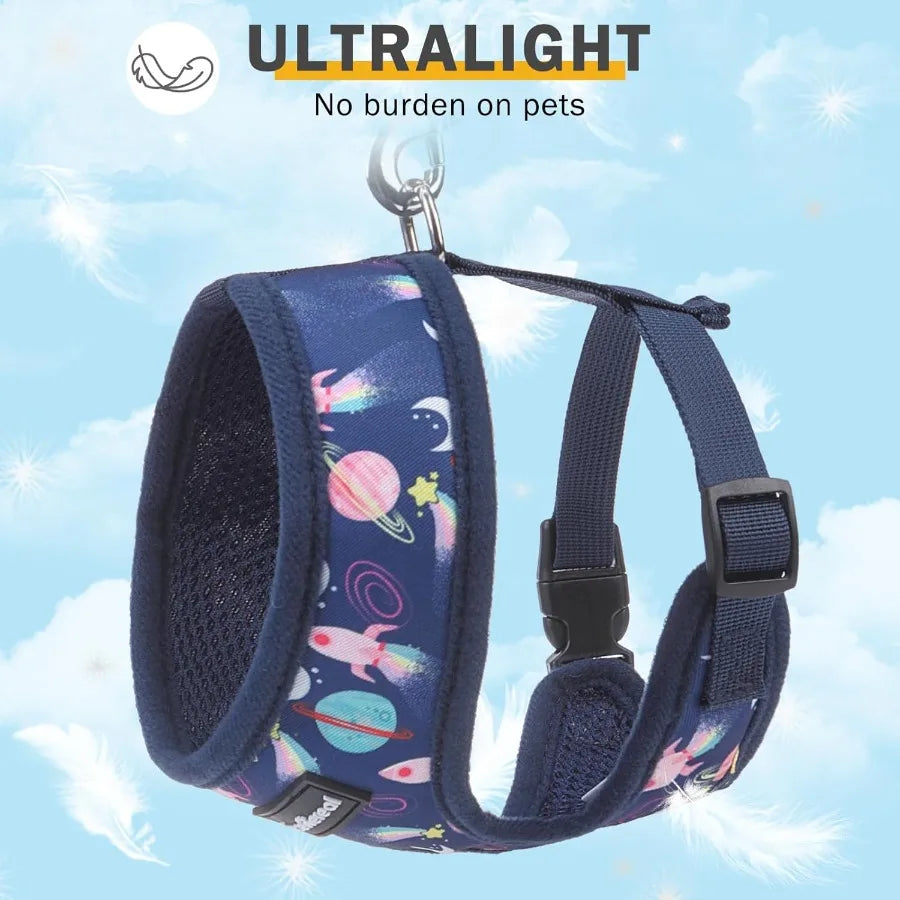 Hign-concerned Adjustable No Pull Mesh Step-in Vest Harness Set