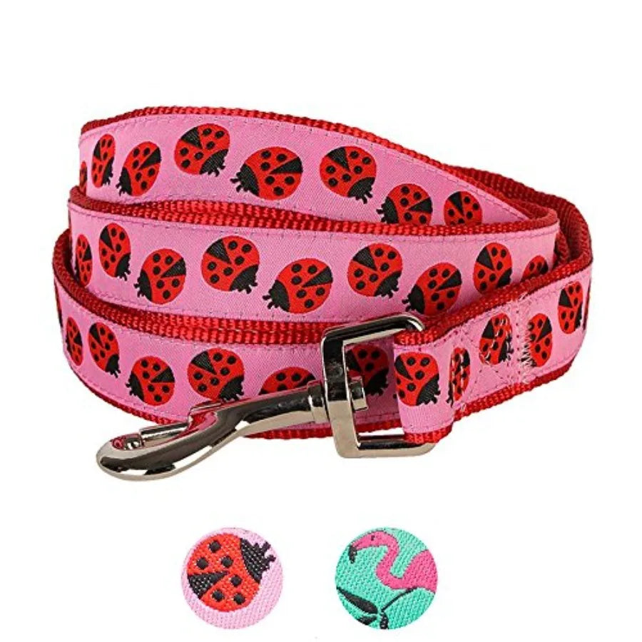 Durable Ladybug Designer Nylon Dog Leash With Webbing Pattern