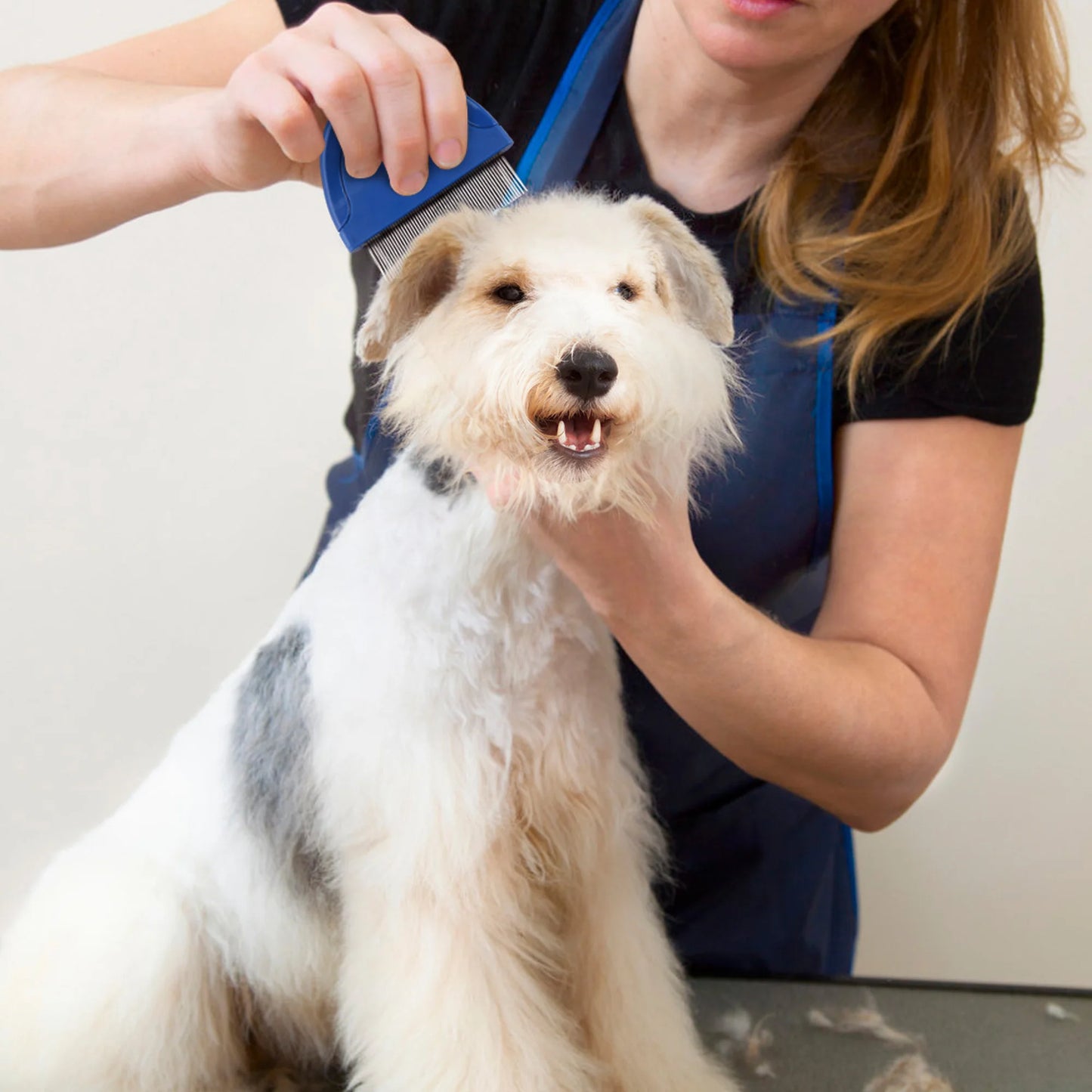 Flea Comb for Cats and Dogs Hair Removal Grooming Tool