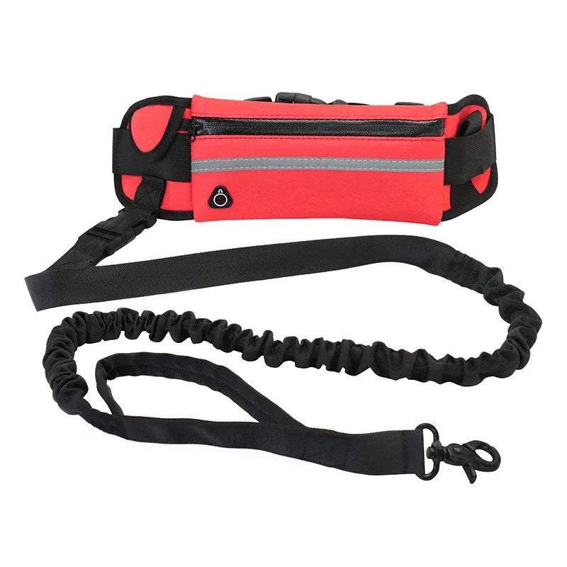 Reflective Hands Free Dog Leash With Retractable Belt Waist Bag