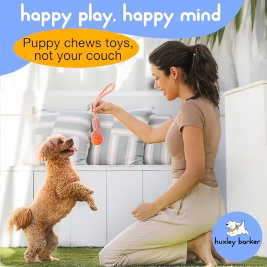 Puppy Starter Kit With Chew Toys And Training Essentials