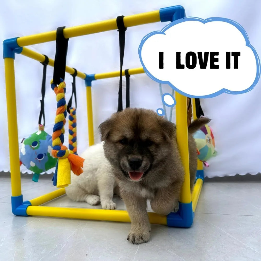 Hign-concerned Puppy Play Gym 8 Hanging Toys for Small Dogs