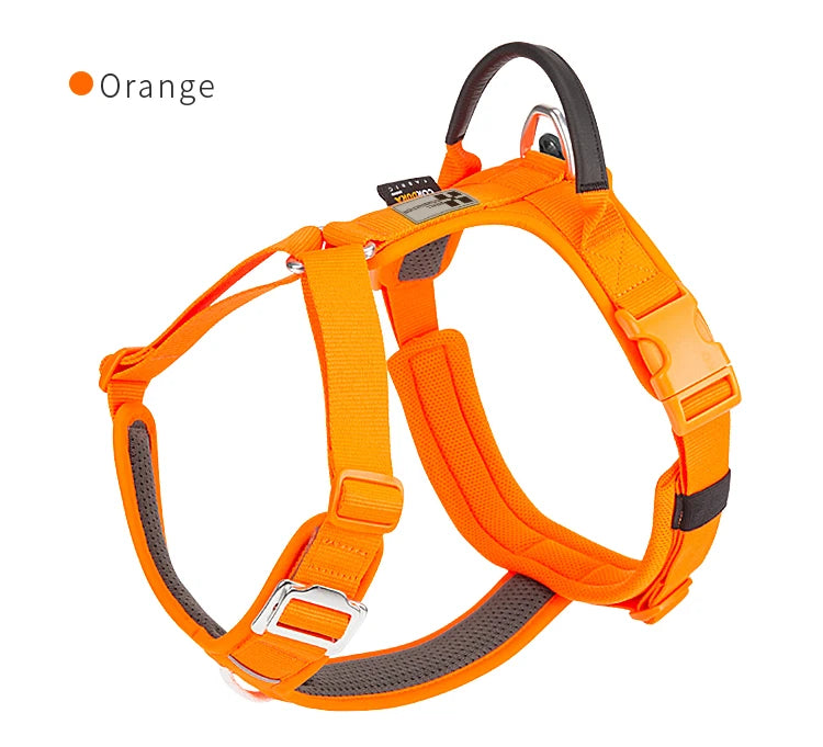 SMALL COMBINATION Reflective No Pull Adjustable Nylon Dog Harness
