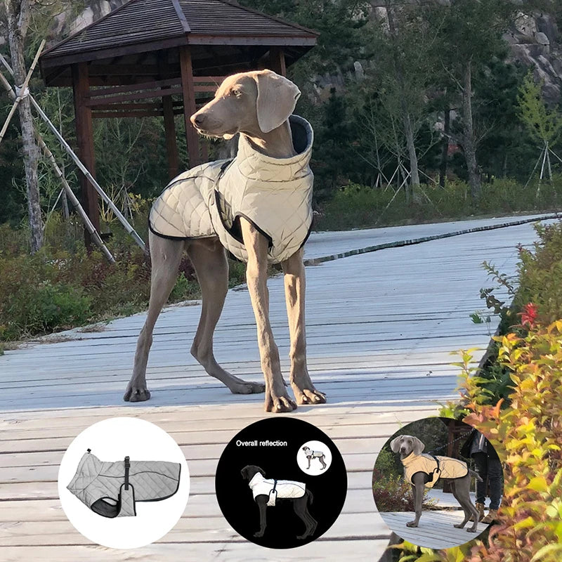 Choice Thickened Autumn Winter Dog Coat Windproof Reflective Water Repellent