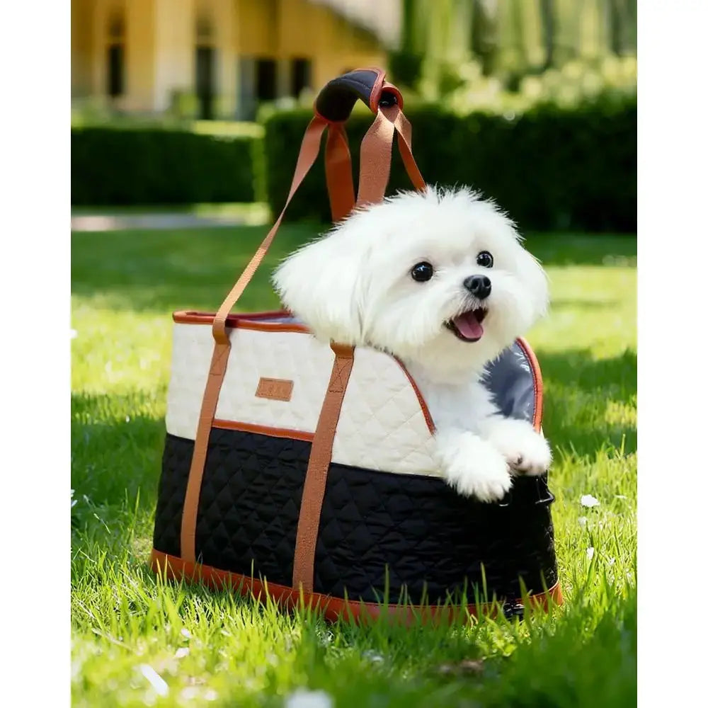 Pet Carriers/Strollers/Steps