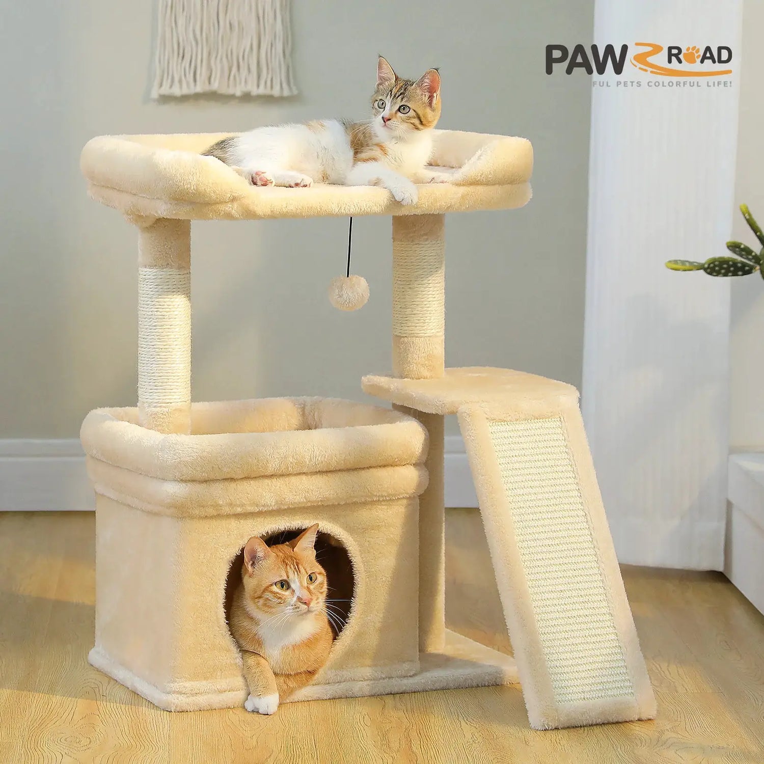 Cat Trees/Scratch Post