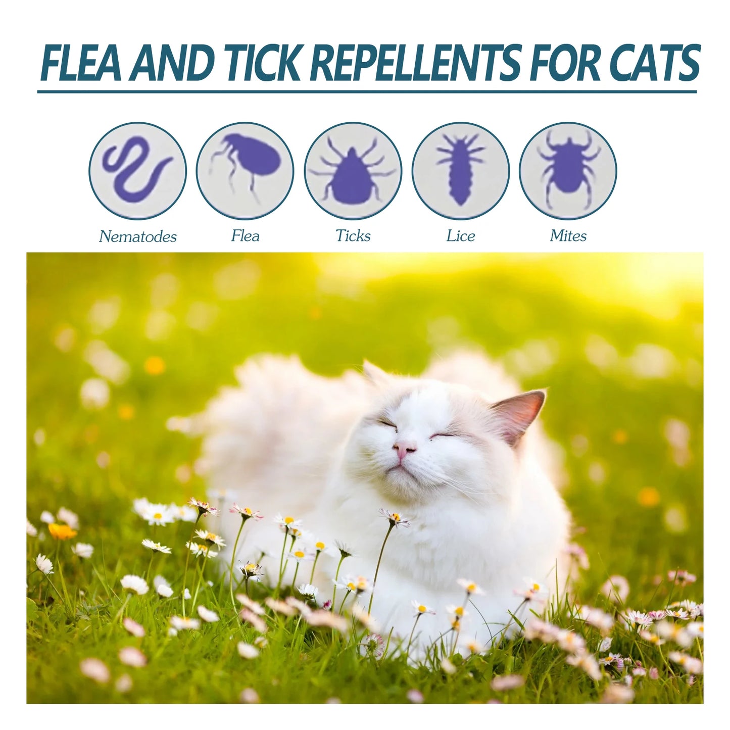 YEGBONG Pet Anti Flea Drops For Cats And Dogs Care