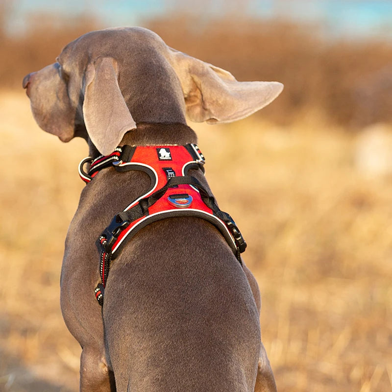 TRUELOVCN Reflective Nylon Dog Harness No Pull Adjustable