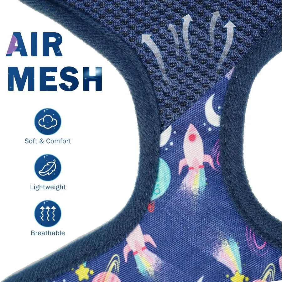 Hign-concerned Adjustable No Pull Mesh Step-in Vest Harness Set