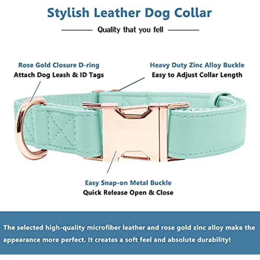 High Concerned Soft Leather Dog Collar and Leash with Buckle