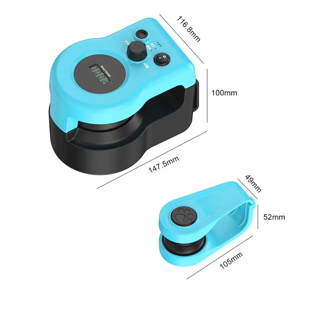 CN Guangdong DIY Mouse Hunting Treadmill Toy For Indoor Cats