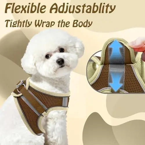 YTYIN Adjustable Dog Harness And Leash Set With Padded Vest