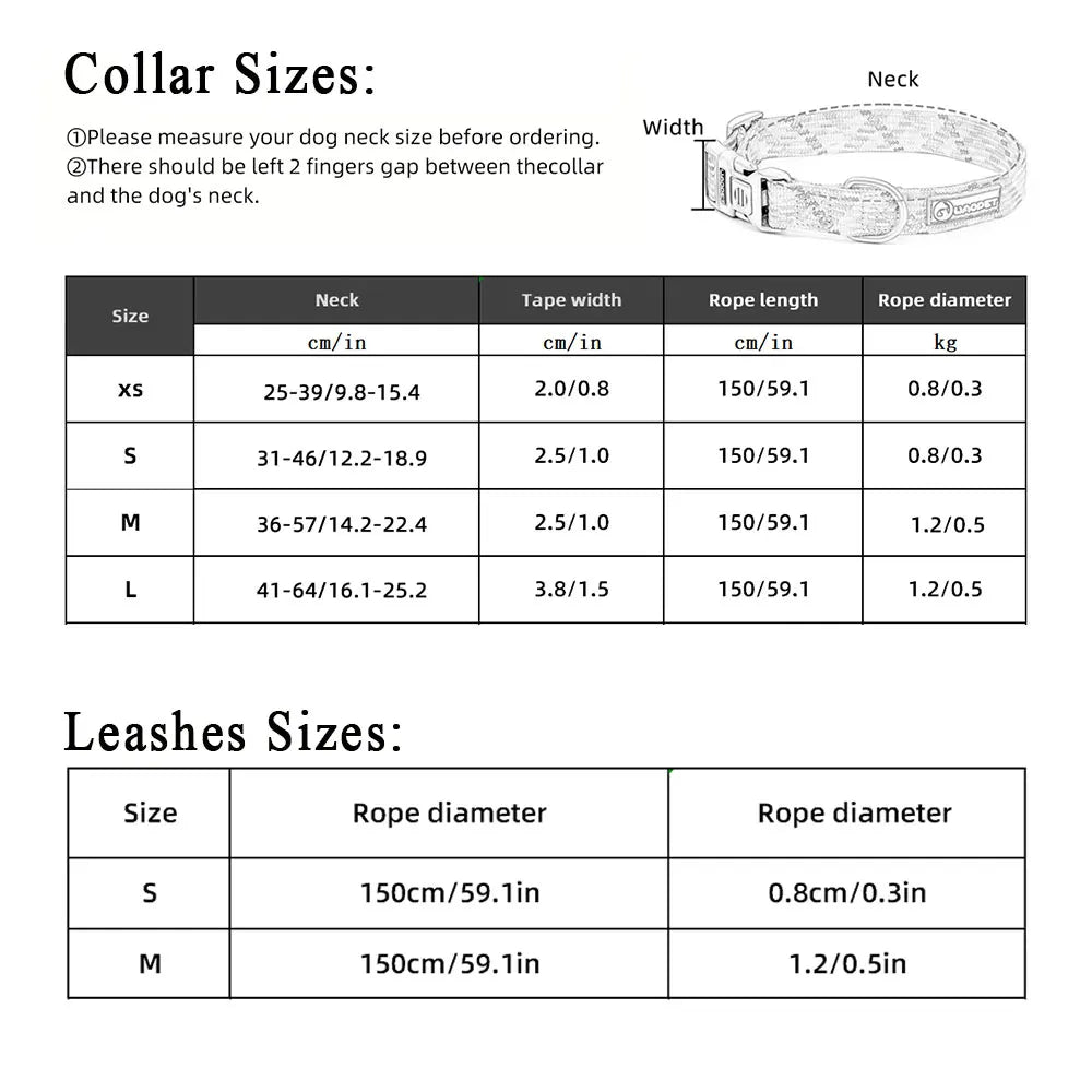 Guangdong Leashes And Collar Set For Dogs Outdoor Use