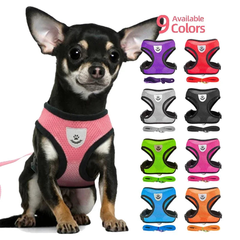 YTYINCN Dog Harness Leash for Pets