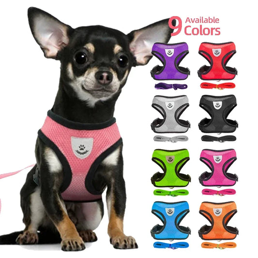 YTYINCN Dog Harness Leash for Pets