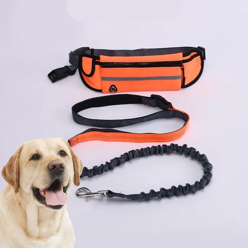 Reflective Hands Free Dog Leash With Retractable Belt Waist Bag