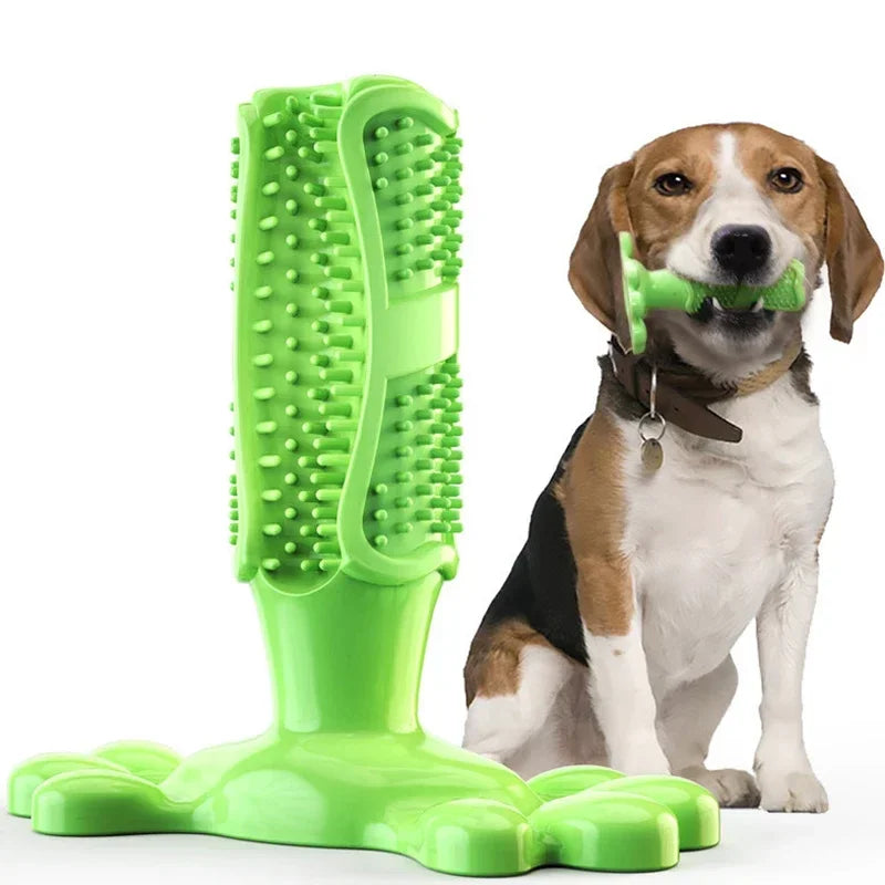 Pet Dog Cactus Interactive Rubber Chew Toy Dental Toothbrush Dispenser