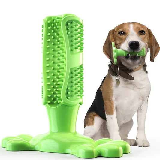 Pet Dog Cactus Interactive Rubber Chew Toy Dental Toothbrush Dispenser