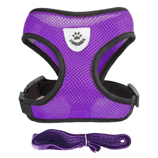 YTYINCN Dog Harness Leash for Pets
