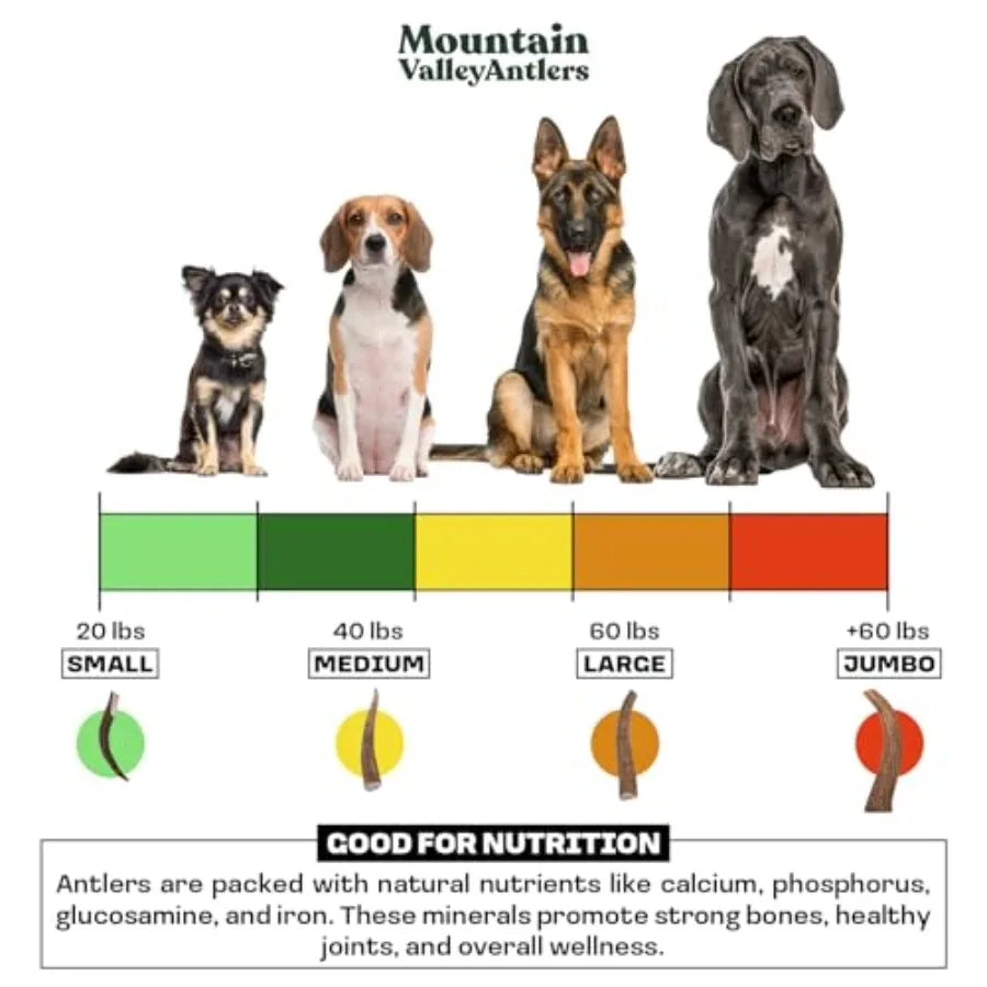 YAO HUI HUANG Mountain Valley Mixed Species Antlers for Dogs