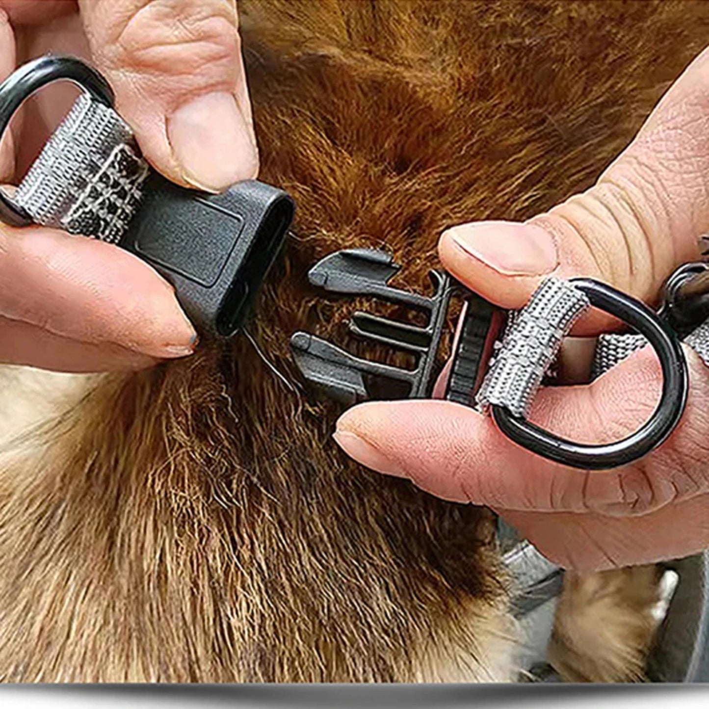 NONECN Adjustable Reflective Breathable Dog Y Harness Puppies And Dogs