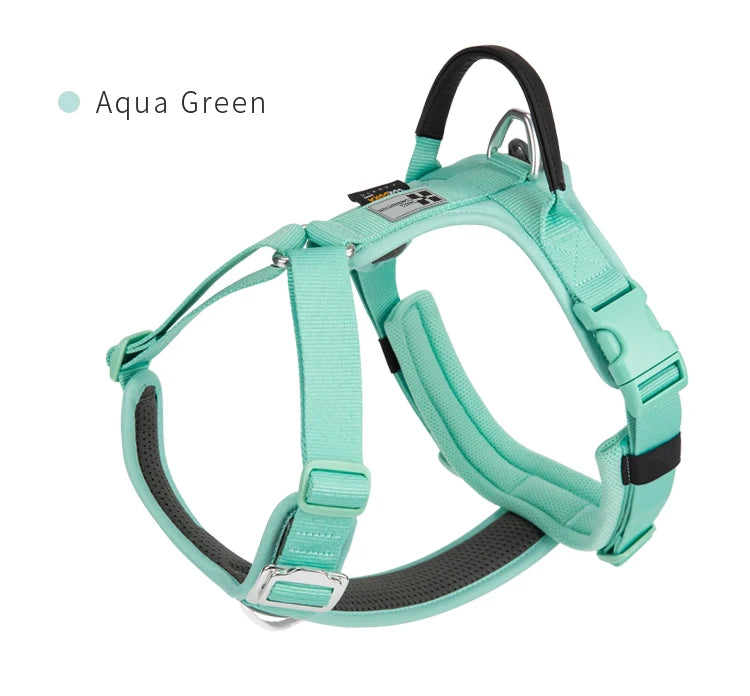 SMALL COMBINATION Reflective No Pull Adjustable Nylon Dog Harness