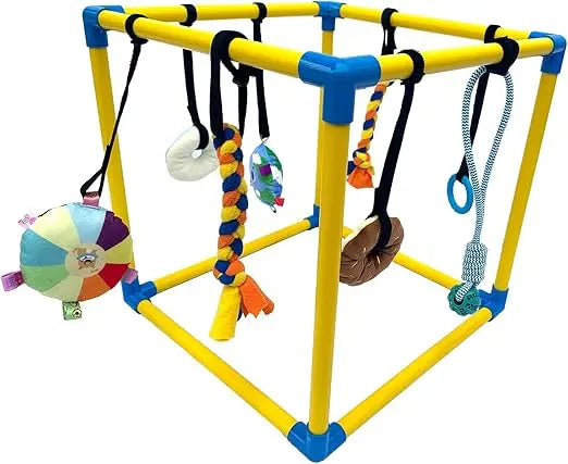 Hign-concerned Puppy Play Gym 8 Hanging Toys for Small Dogs