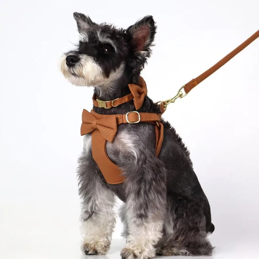 Adjustable Dog Harness Set With Three Detachable Bows And Leash