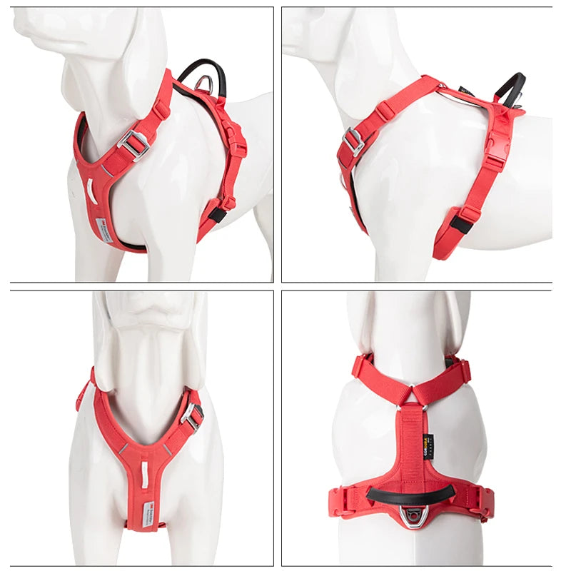 SMALL COMBINATION Reflective No Pull Adjustable Nylon Dog Harness