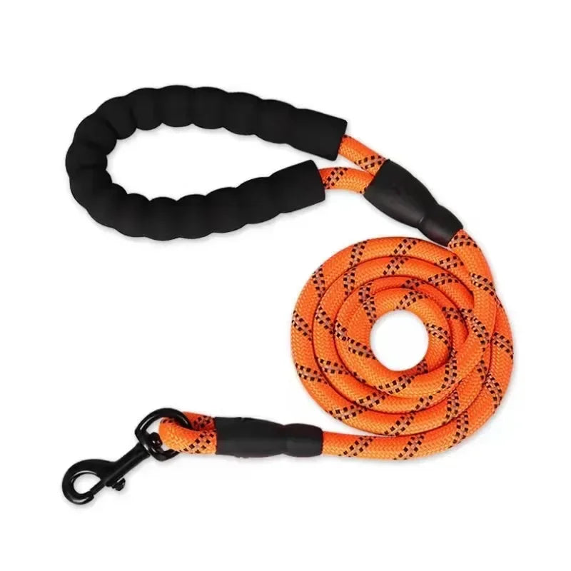 Durable and Reflective Nylon Dog Leash for All Sizes
