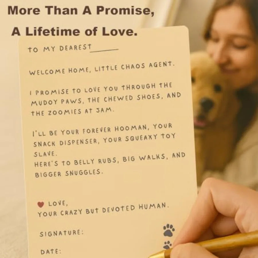 Yao Hui Huang Dog Welcome Gift Box Starter Kit Bundle