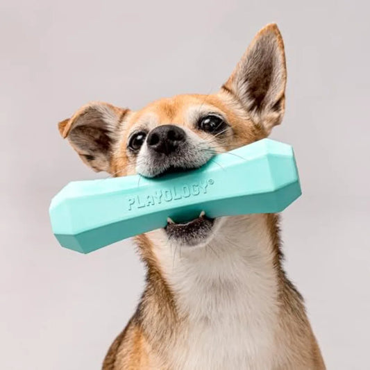 YAO HUI HUANG Squeaky Chew Stick Dog Toy Beef Scented