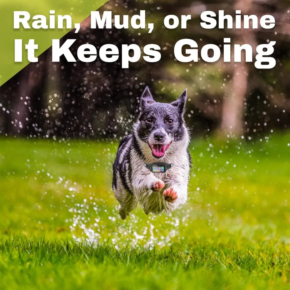 The Good Pet Company Customizable GPS Invisible Dog Fence Collar