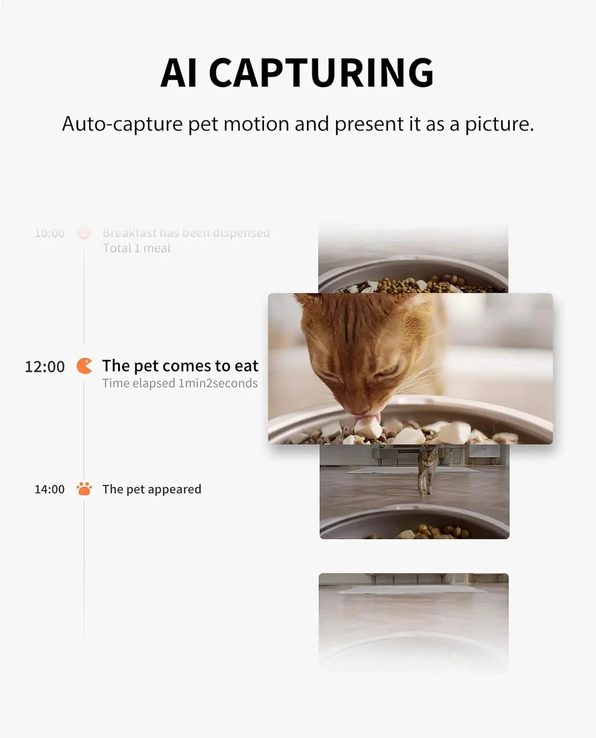 Automatic Pet Feeder With Camera 1080P HD Night Vision WiFi