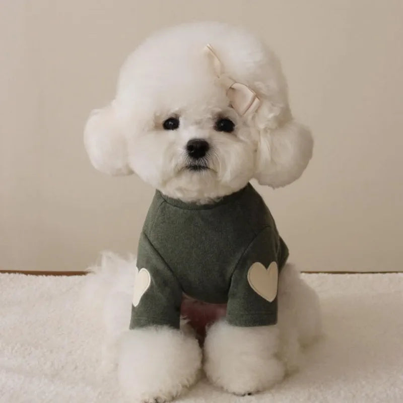 Adorable Love Bear Teddy Pet Hoodie For Cats And Dogs