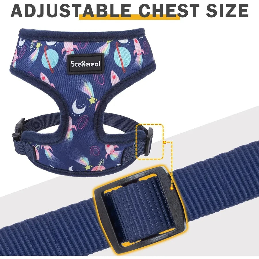 Hign-concerned Adjustable No Pull Mesh Step-in Vest Harness Set