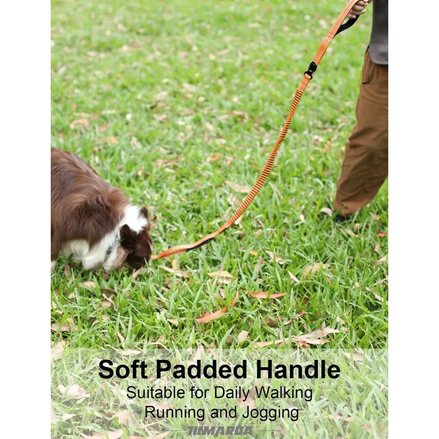 Heavy Duty Dog Leash With Traffic Handle And Padded Handles