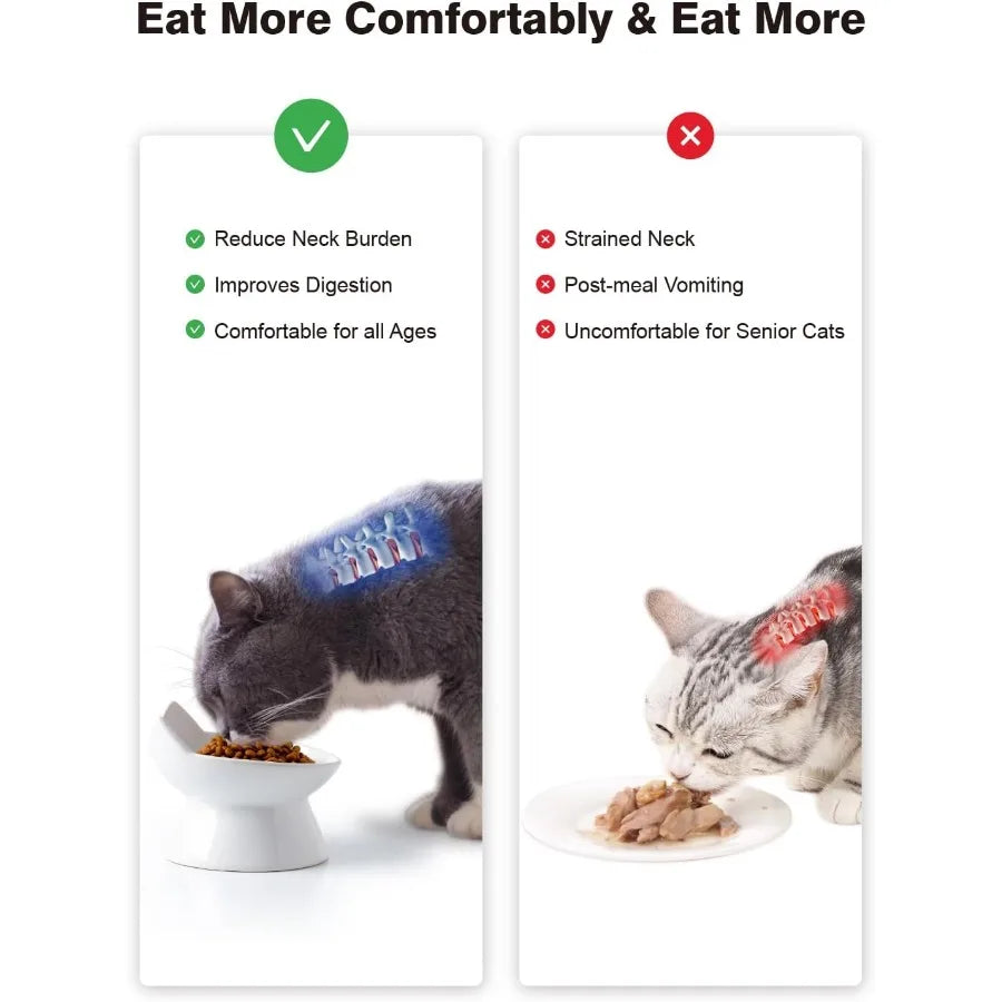 Hign-concerned Cat Elevated Food Bowl Anti Vomiting Whisker Friendly