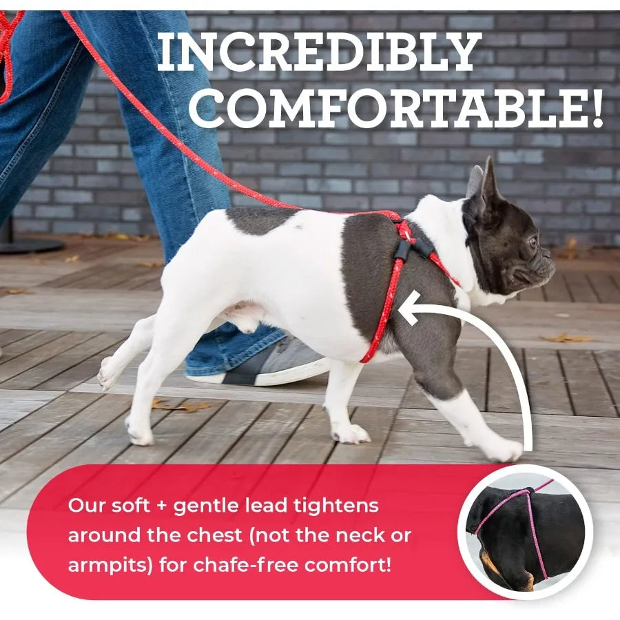 High-concerned Dog Harness And Leash Set Anti Pull Cushioned Rope