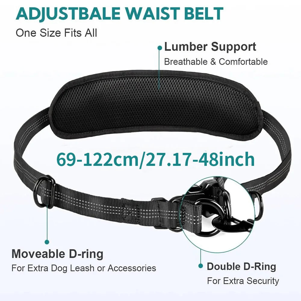 DCLOUDCN Hands Free Dual Dog Leash With Pouch
