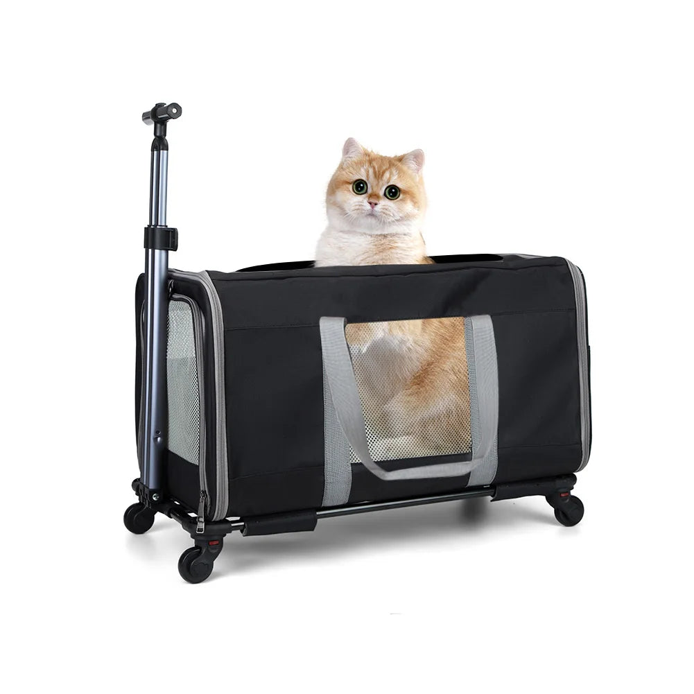 Cat Trolley For Two Cats With Wheels And Secure Belts