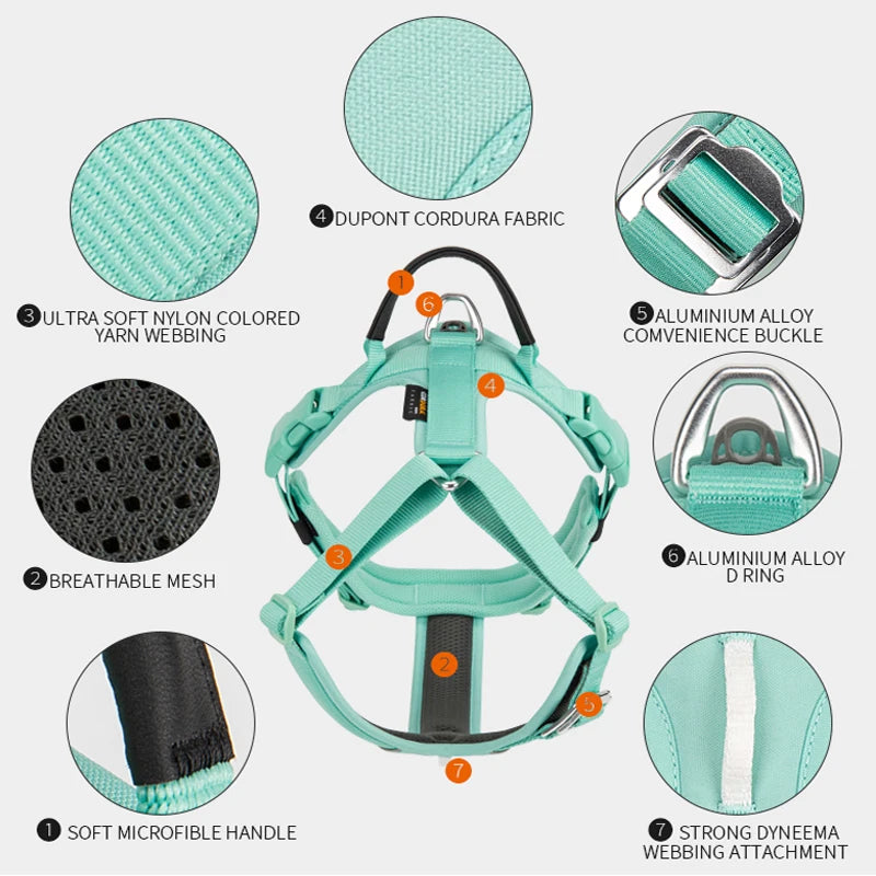 SMALL COMBINATION Reflective No Pull Adjustable Nylon Dog Harness